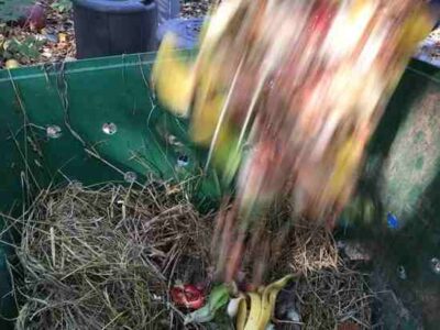Simple Composting: Starting from Scraps, a Trash Bin, and a Hay Bale Image